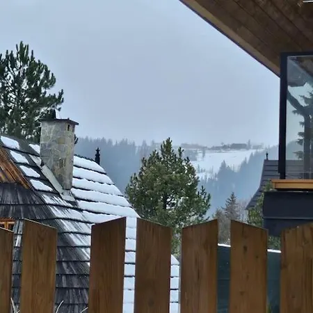 Апартаменты Nowy Modrzew W Centrum Закопане